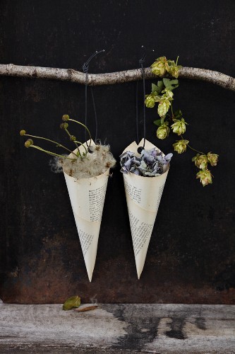 Autumnal cones decorated with hydrangeas, clematis seed pods and a vine of hops