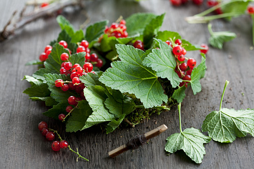 Kränzchen basteln aus roten Johannisbeeren