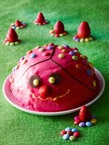 A strawberry dome cake decorated with coloured chocolate beans