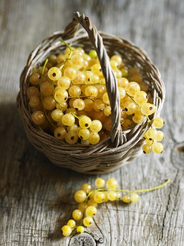 Whitecurrants in a basket