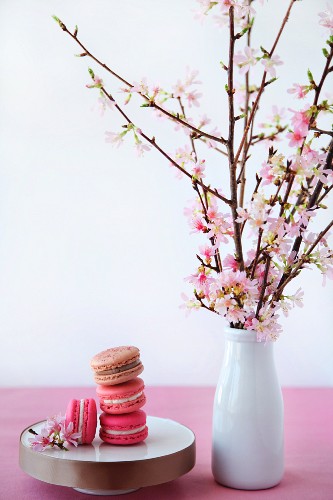 Macaroons next to a vase of cherry blossoms