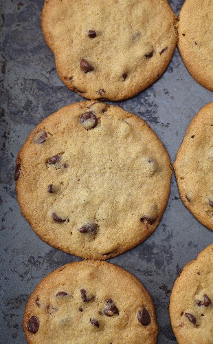 Chocolate Chip Cookies on a Baking Sheet; From Above