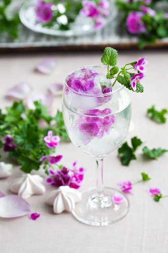 Scented pelargoniums frozen into spherical ice cubes in glass of lime water