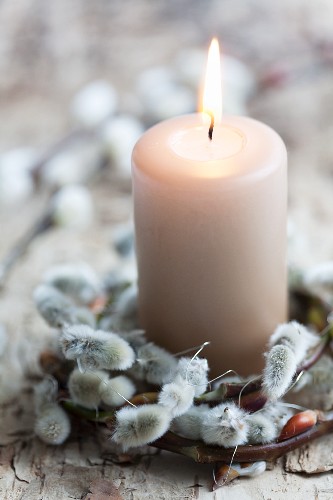 Wreath of pussy willow catkins around candle