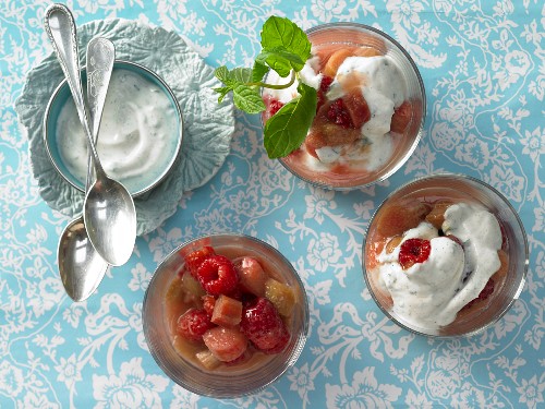 Rhubarb and raspberry compote with a mint and yoghurt sauce