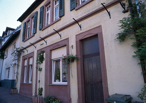 Rankhilfe Fur Wein An Hauswand Bild Kaufen 12106593
