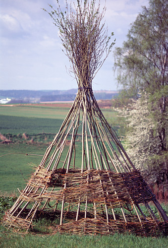 Weidenruten Fur Tipi Kaufen