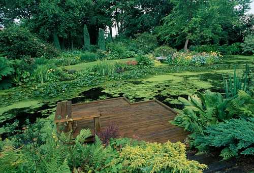 Uferbepflanzung Bilder GartenFotos kaufen Gartenbildagentur