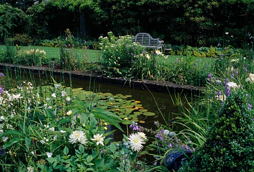 Uferbepflanzung Bilder GartenFotos kaufen Gartenbildagentur
