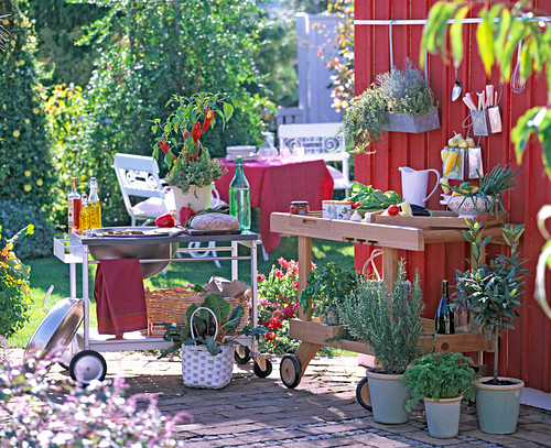 Grillen Bilder Friedrich Strauss Gartenbildagentur