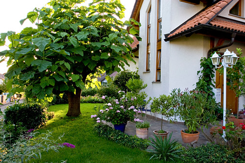 Hausbaum Bilder Friedrich Strauss Gartenbildagentur