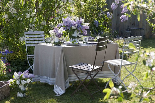 Flieder Tischdeko Im Garten Vor Bild Kaufen 12172857 Friedrich Strauss Gartenbildagentur