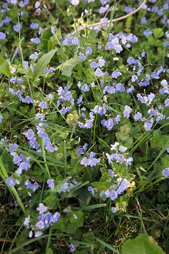 35+ Garten Acker Kaufen, Hier finden sie das richtige ackerland für