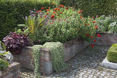 Hochbeet Garten Mit Sommerblumen Bild Kaufen 12197401 Friedrich Strauss Gartenbildagentur