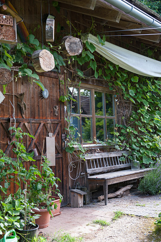 Holztur Vom Gartenhaus Mit Deko Bild Kaufen 12199899 Friedrich Strauss Gartenbildagentur