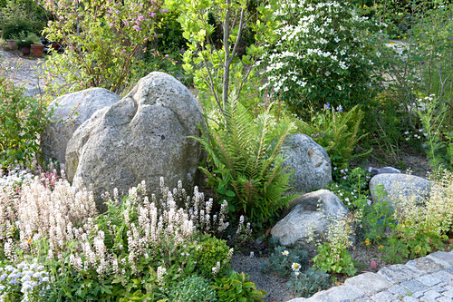 Findling Bilder GartenFotos kaufen Gartenbildagentur Friedrich Strauss