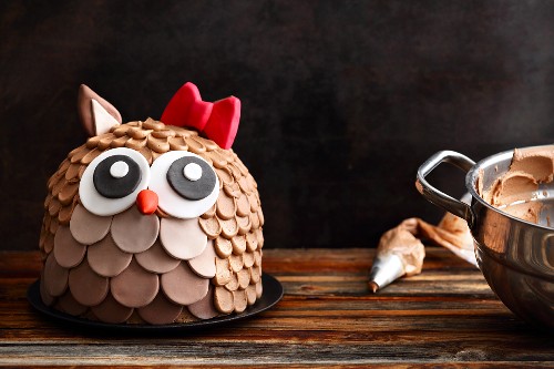 A chocolate cake in the shape of an owl