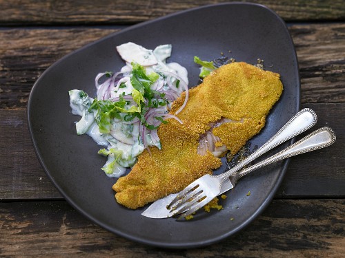 Forelle in Polentakruste mit Gurken-Apfelsalat