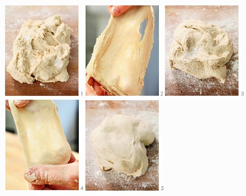 Kneading stages of wheat dough (windowpane test)