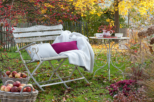 Äpfeln Bilder Friedrich Strauss Gartenbildagentur