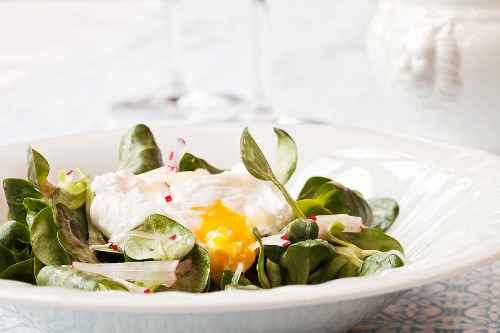 Lamb's lettuce with radishes and a poached egg
