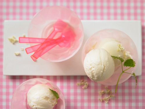 Elderflower & yoghurt ice cream