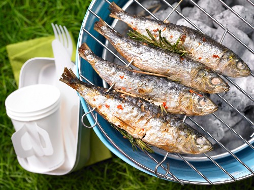 Grilled rosemary sardines