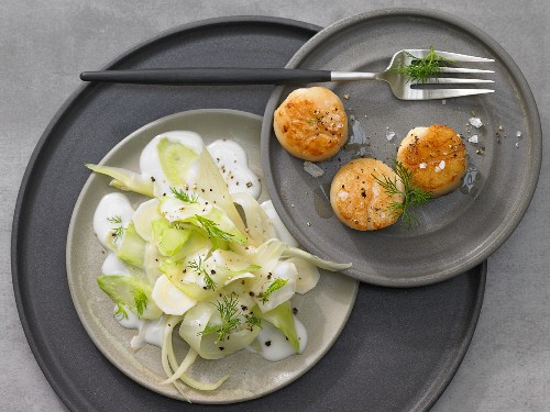 Scallops with fennel and onion