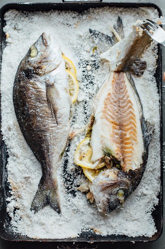 Two gilt-head bream in a bed of salt (seen from above)