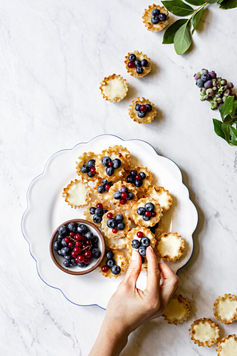 Mini-Zitronentörtchen garniert mit Heidelbeeren und Johannisbeeren