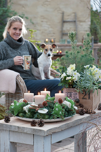 Adventskränze Bilder Friedrich Strauss Gartenbildagentur