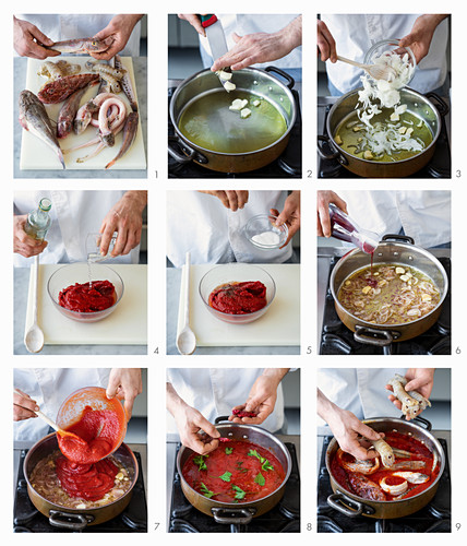 Brodetto alla fanese zubereiten (traditionelle Fischsuppe aus Fano, Itaien)