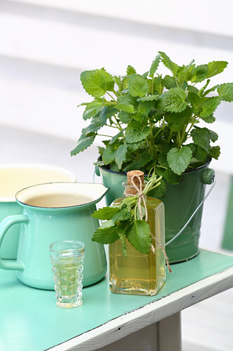 Lemon balm liqueur for loss of appetite, digestive problems and a nervous stomach