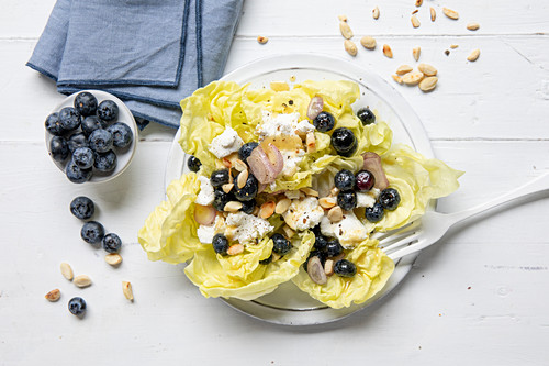 Summer salad with blueberries and fresh goat’s cheese