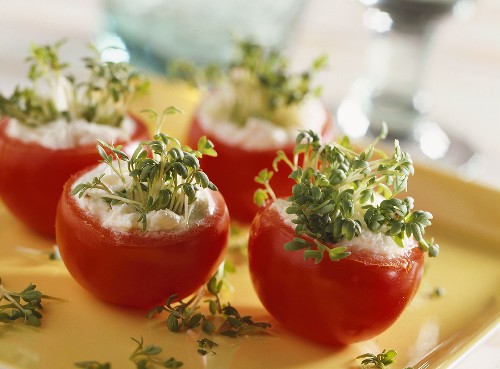 Tomaten mit Frischkäse und Gartenkresse gefüllt