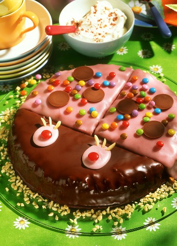 Pink beetle cake with coloured sugar pearls & chocolate drops