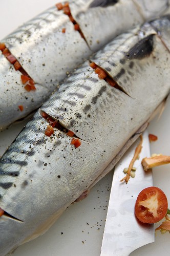 Mackerel with chilli (preparation for grilling)