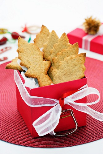 Almond fir tree biscuits in red gift box