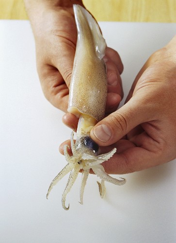 Calamaretti vorbereiten: Kopf & Fangarme aus Beutel ziehen