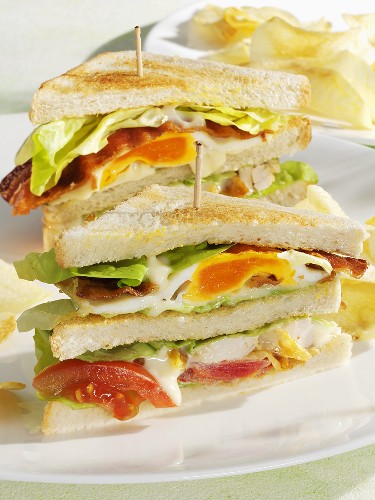 Club sandwiches with chicken, egg, tomato and bacon