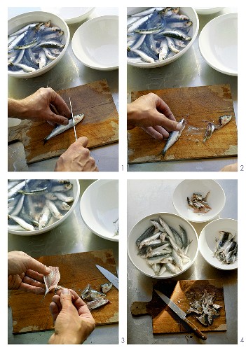 Preparing sardines