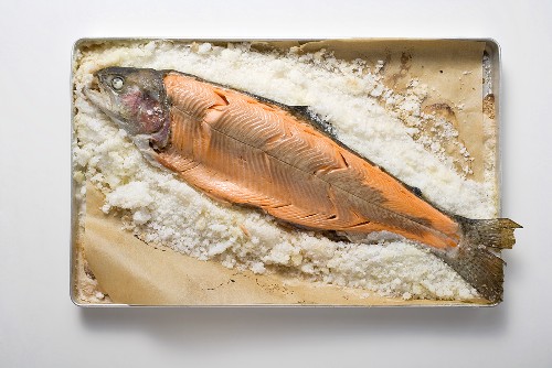 Salmon trout on a bed of salt