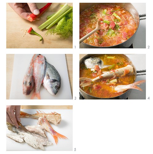 Making brodetto di pesce (mixed fish stew), Italy