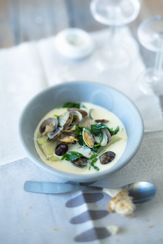 Mussel soup with spinach, fennel and young garlic