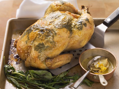 Fried herb chicken filled with fennel