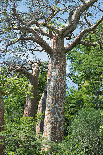 Patterned Photos – License unique travel photos lookphotos