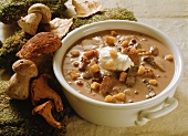Creamed venison soup with mushrooms