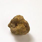 White truffle from Piedmont, Italy