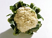 Cauliflower 