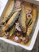 Pickled fried Herrings